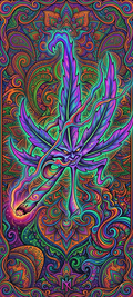 Naszywki